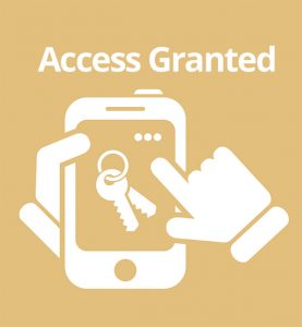 access-granted
